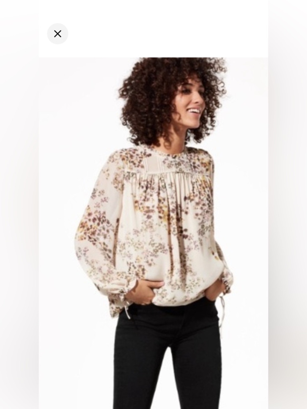 aritzia Wilfred Floral Sheer Blouse Romantic Prairie Top Size XS